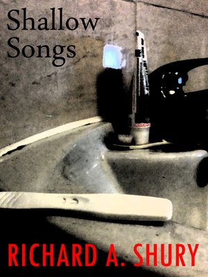 cover image of Shallow Songs